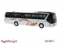 Rietze Automodelle 69617 Neoplan Jetliner Meidenbauer Königstein